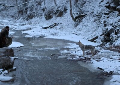 CZŁOWIEK WIECZNOŚCI + Q&A