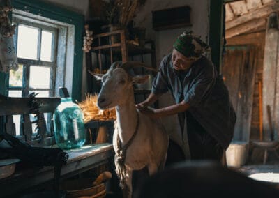 10. Ukraina! Festiwal Filmowy w Warszawie. Święto kina wolności rozpoczyna się 3 listopada 3 Zwierzeta na wojnie Ukraina! Festiwal Filmowy
