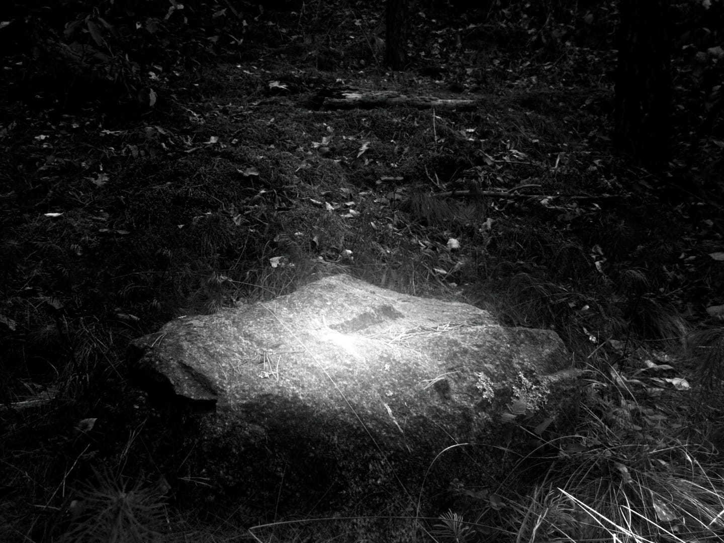 amphibolos-lithos_still-1 amphibolos lithos still 1 Ukraina! Festiwal Filmowy